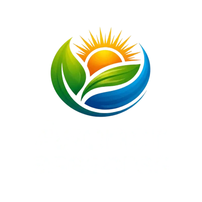 Asener Asesores